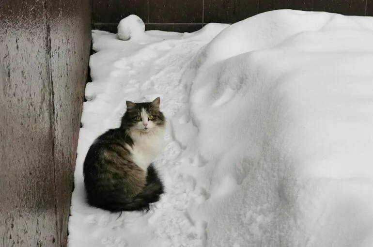 В выходные люберчан ждут январские морозы