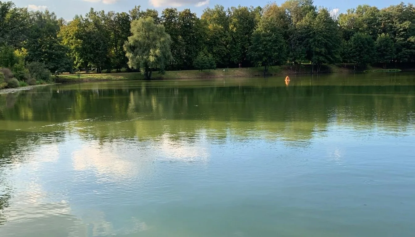 Верхний пруд в Дзержинском — на контроле экологов