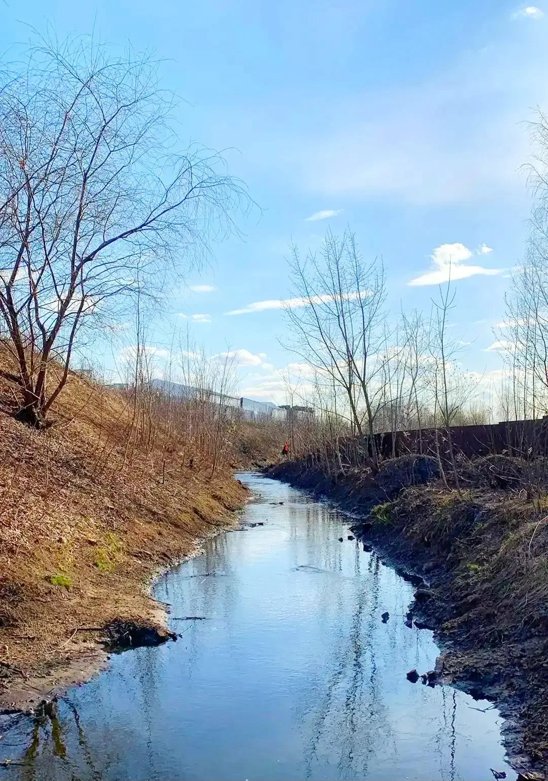 Участок реки Кобыленки вдоль Токаревского кладбища расчистили в Люберцах