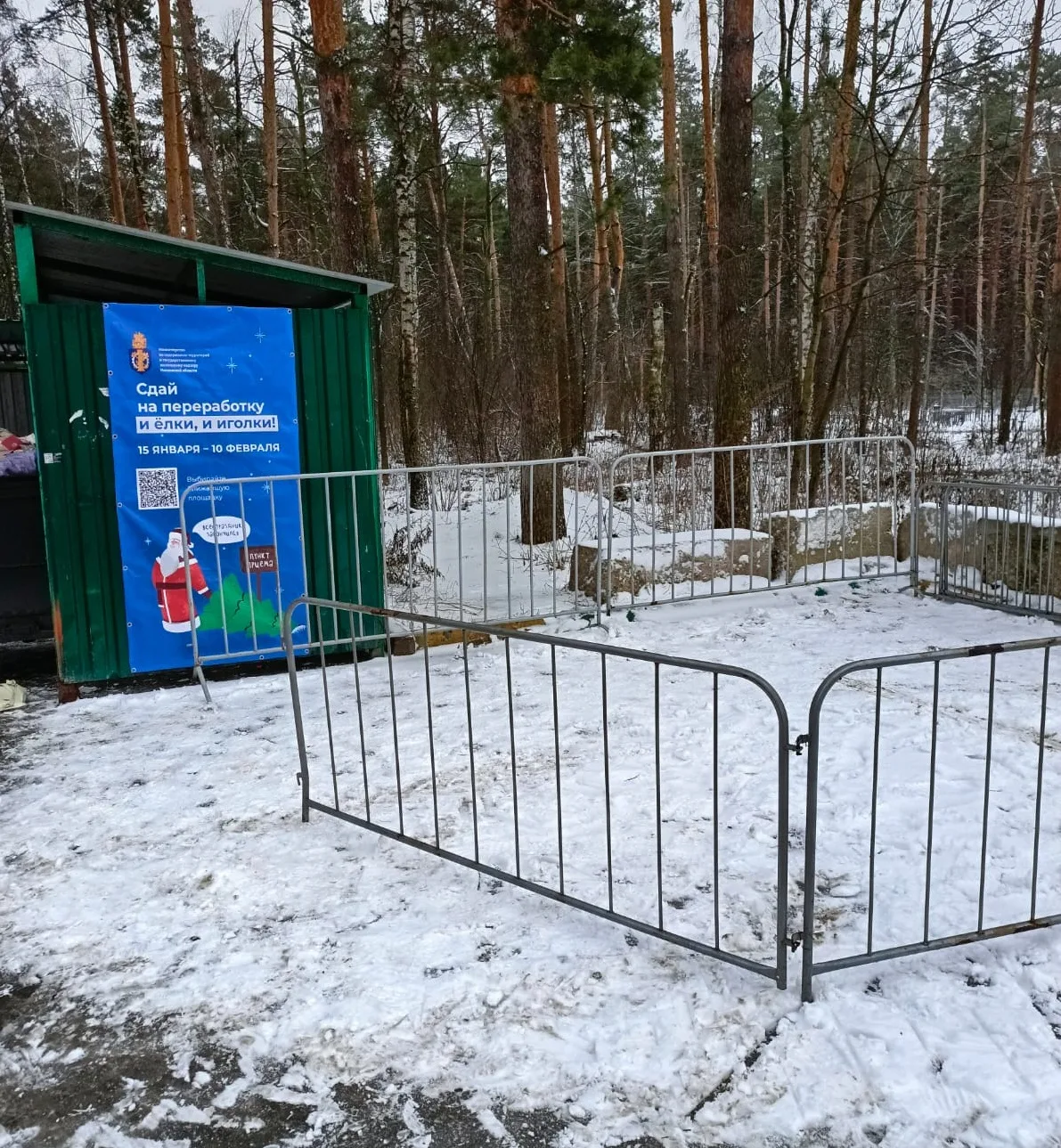 Для приема новогодних елок на вторичную переработку в Люберцах организуют 15 пунктов