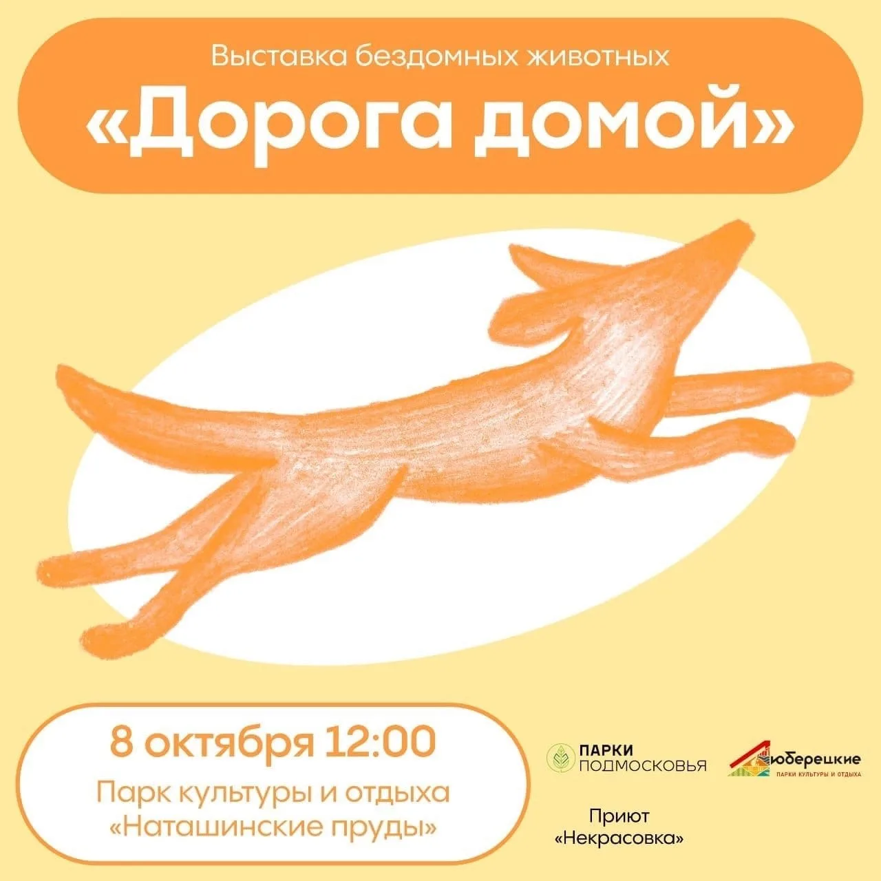 Жители Люберец смогут помочь в сборе корма для бездомных животных и взять питомца домой