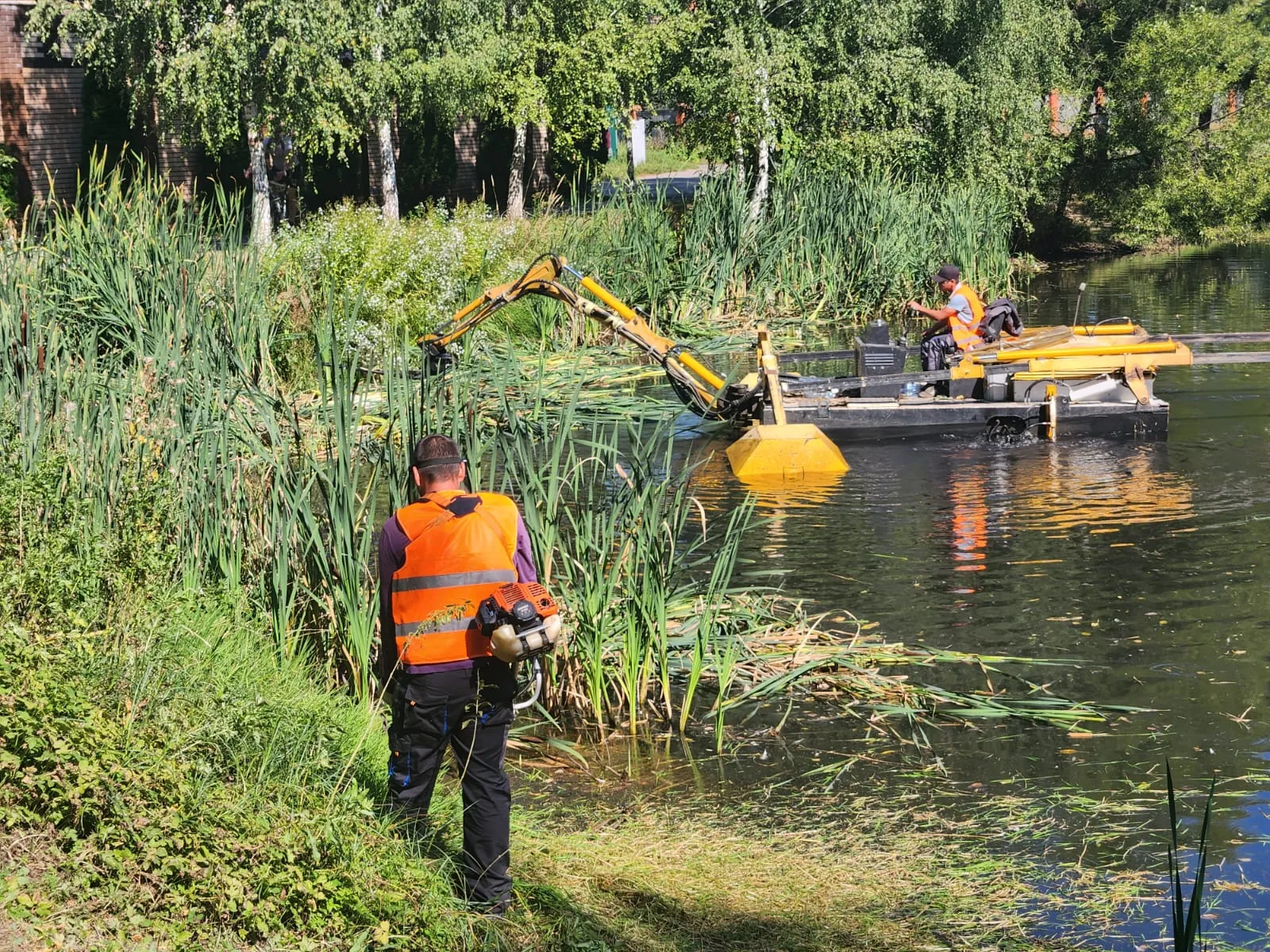 Завершены работы по санитарной расчистке пруда в посёлке Томилино Люберец
