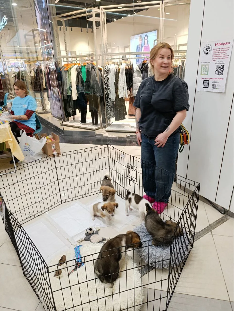 Десять животных нашли хозяев на благотворительной выставке в Люберцах