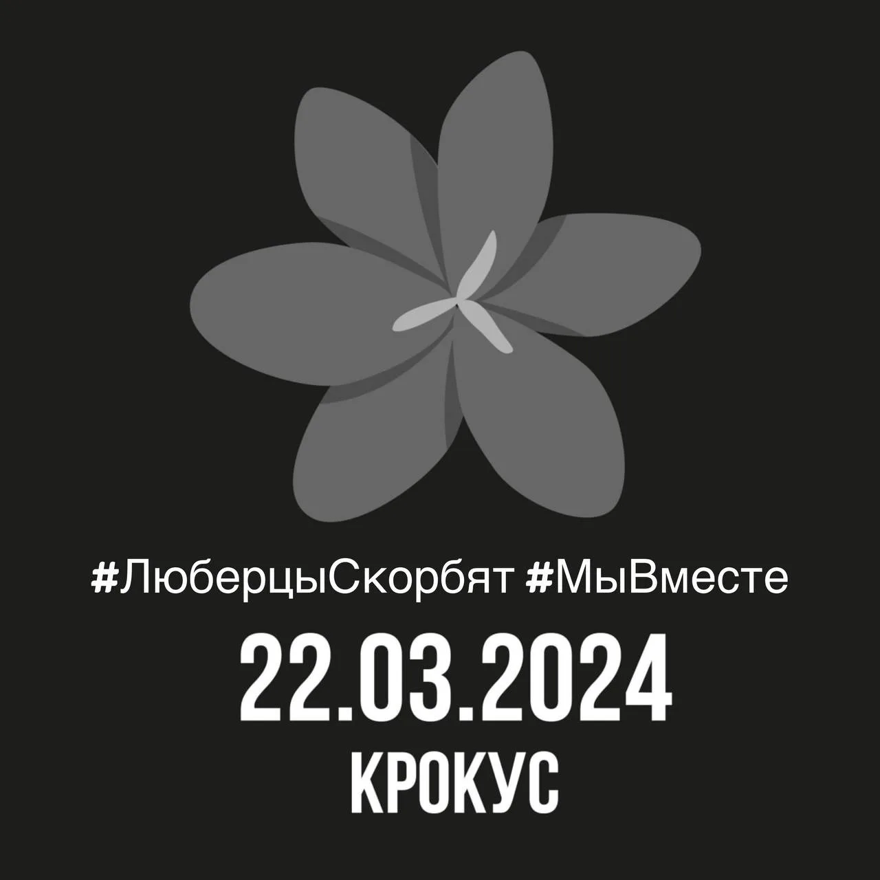 Владимир Волков пригласил жителей Люберец на акцию в память о погибших в теракте
