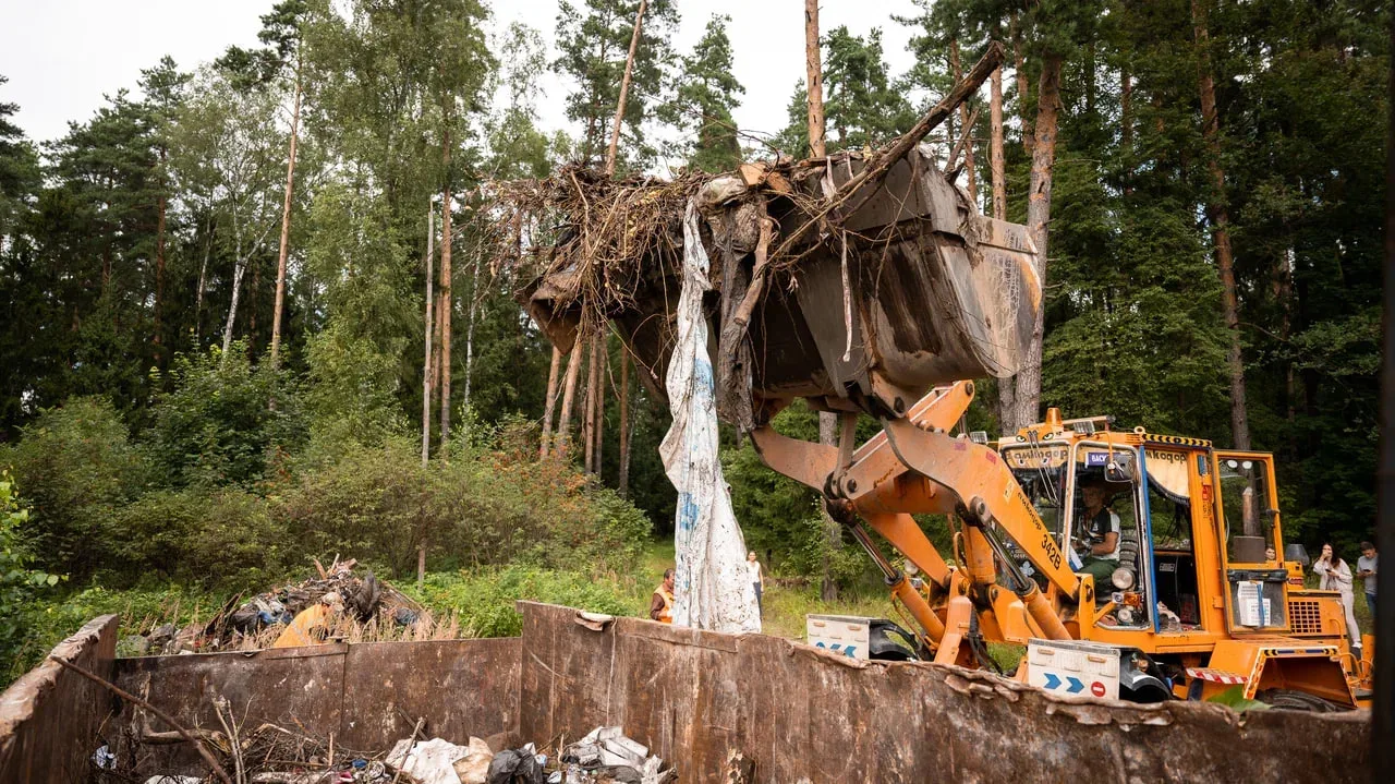 Более 500 кубометров мусора вывезли из лесов Люберец в 2025 году