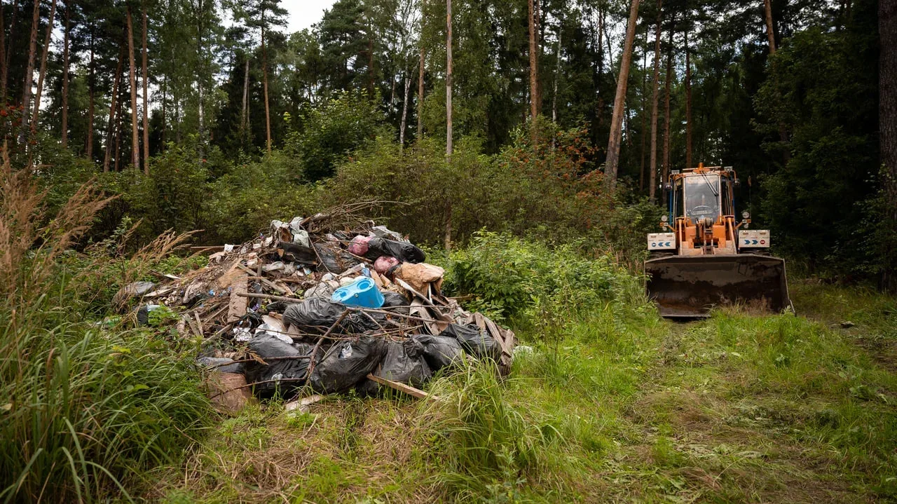 Шесть несанкционированных свалок в лесах Люберец ликвидировали с начала года