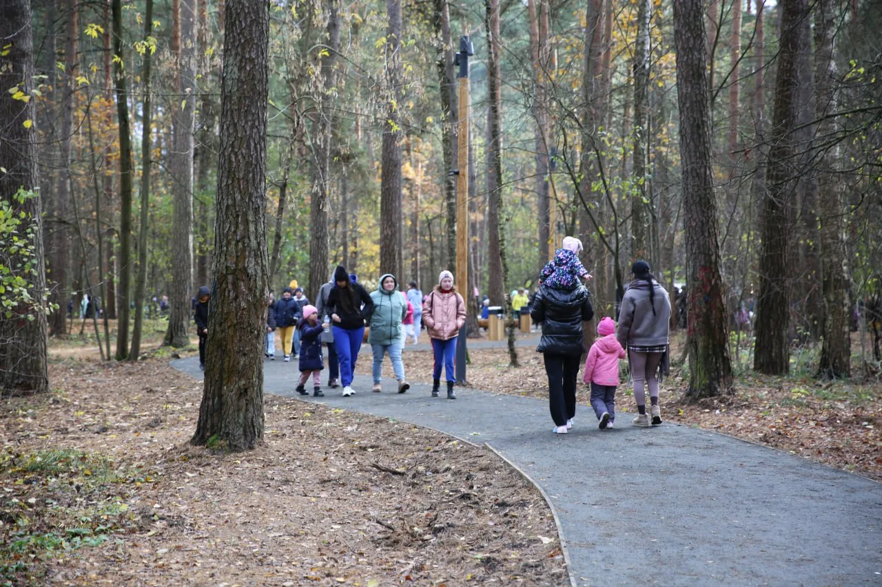 Благоустройство лесопарка даст жителям Люберец возможность добраться до водного карьера