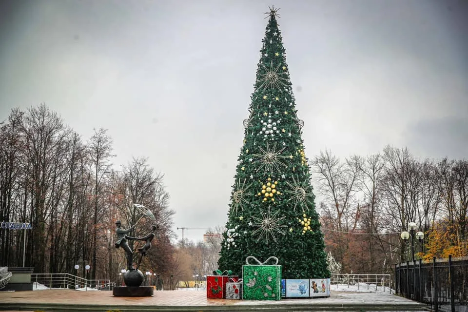 Более двадцати новогодних елей украсят общественные территории Люберец