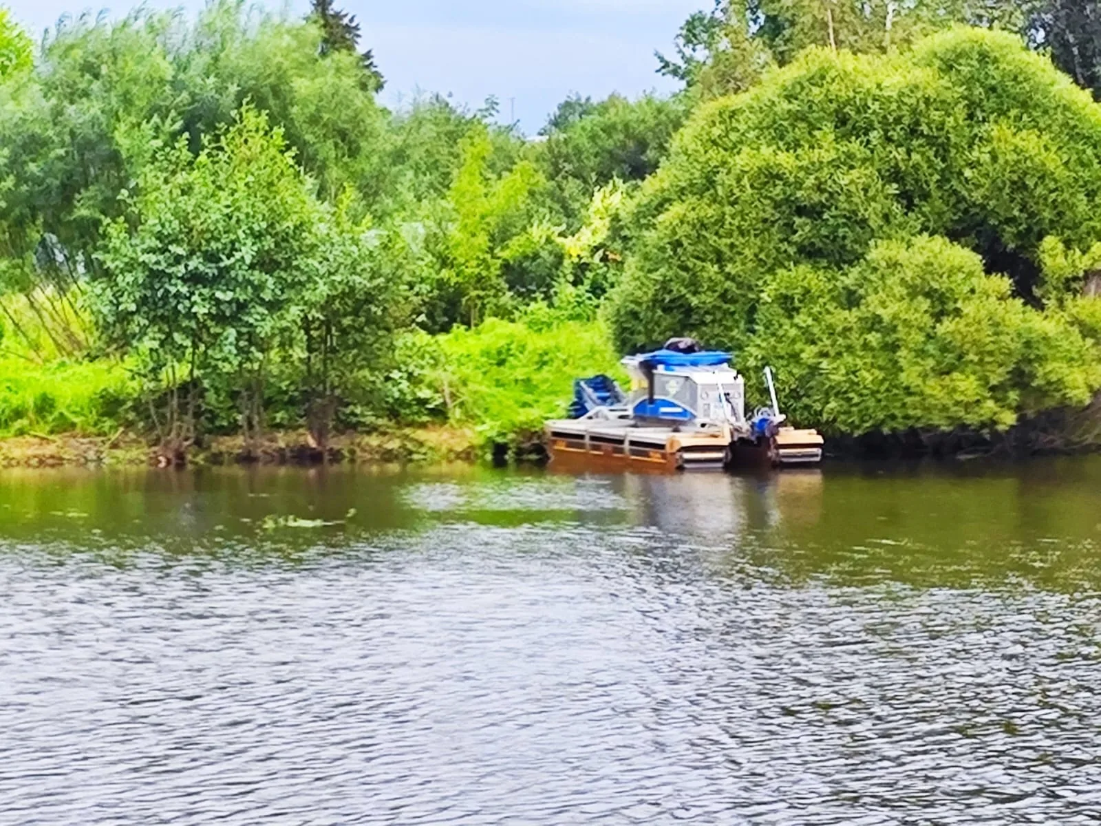 В деревне Токарево приступили к санитарной очистке пруда
