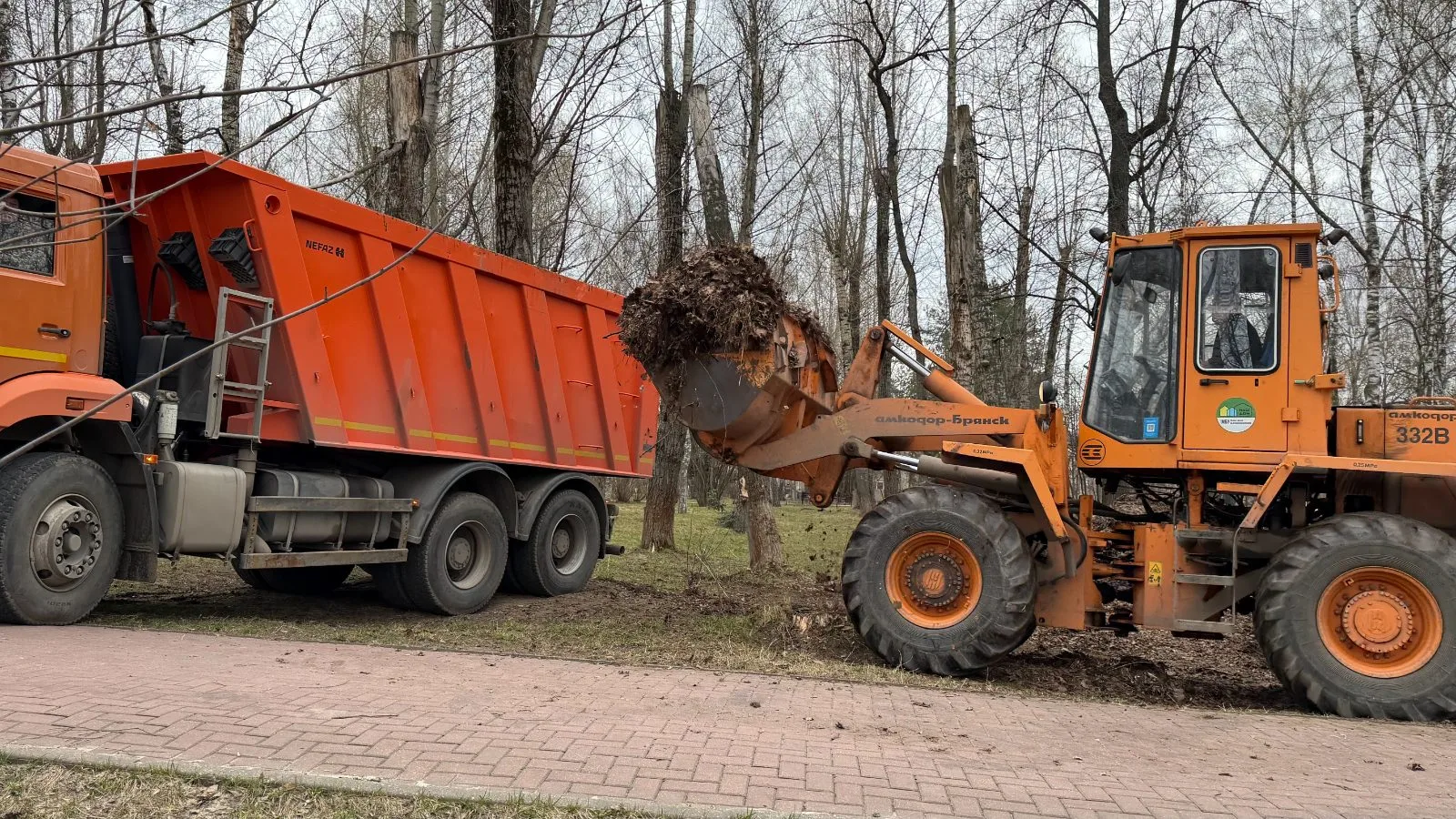 Более 80-ти кубов прошлогодней листвы вывезли из сквера в Дзержинском