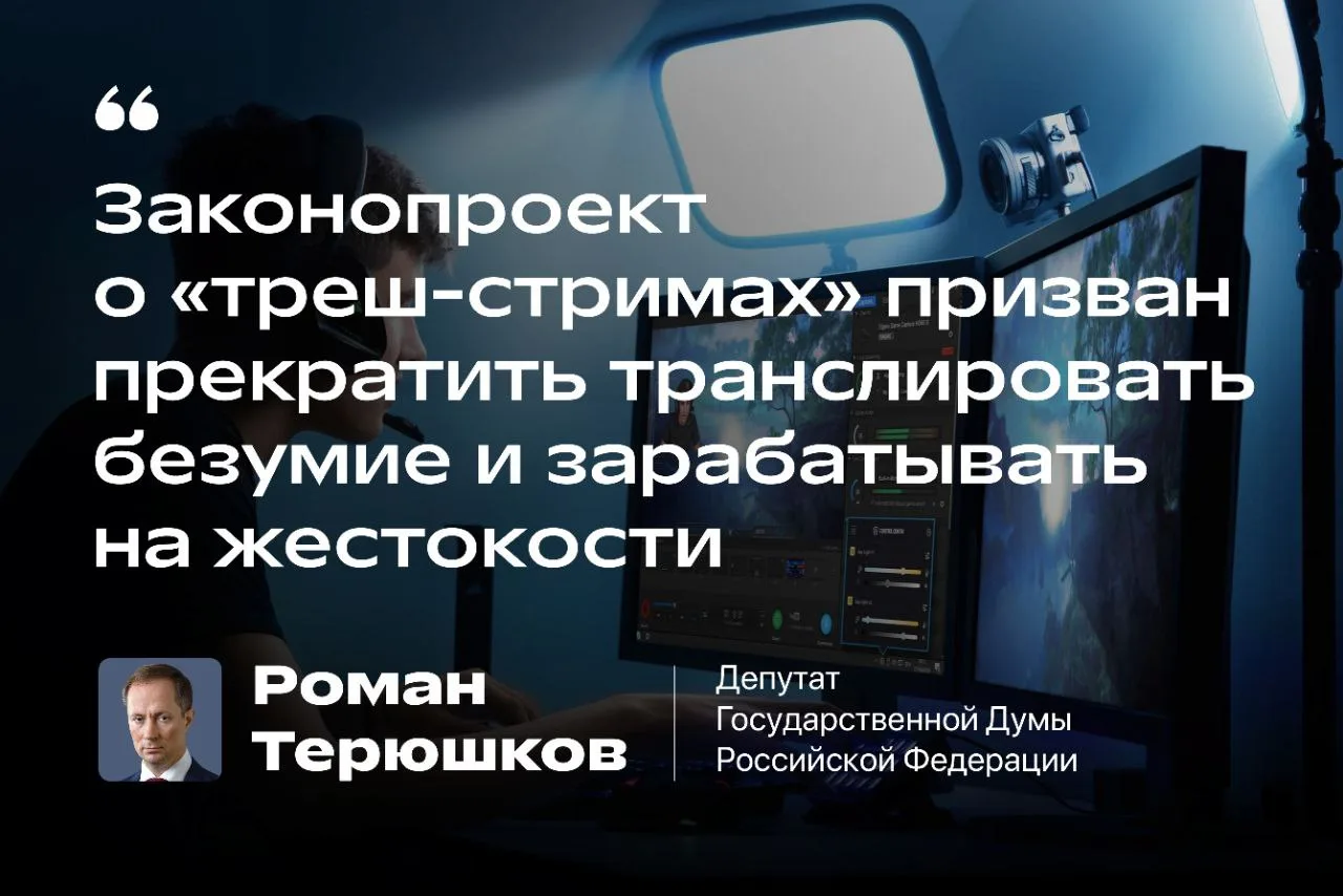 Роман Терюшков: «Законопроект о «треш-стримах» призван прекратить безумие и зарабатывать на жестокости»