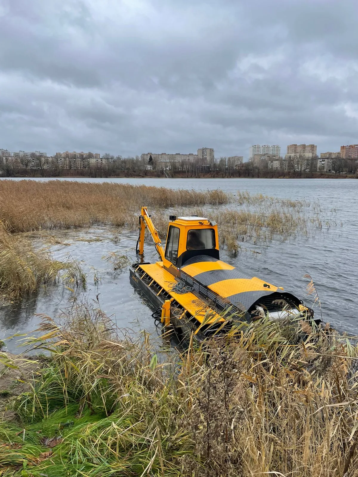 В поселке Люберец приступили к расчистке карьера
