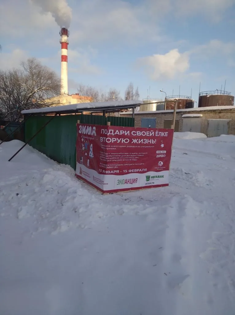 В Люберцах работают 10 пунктов приема новогодних елок для вторичной переработки