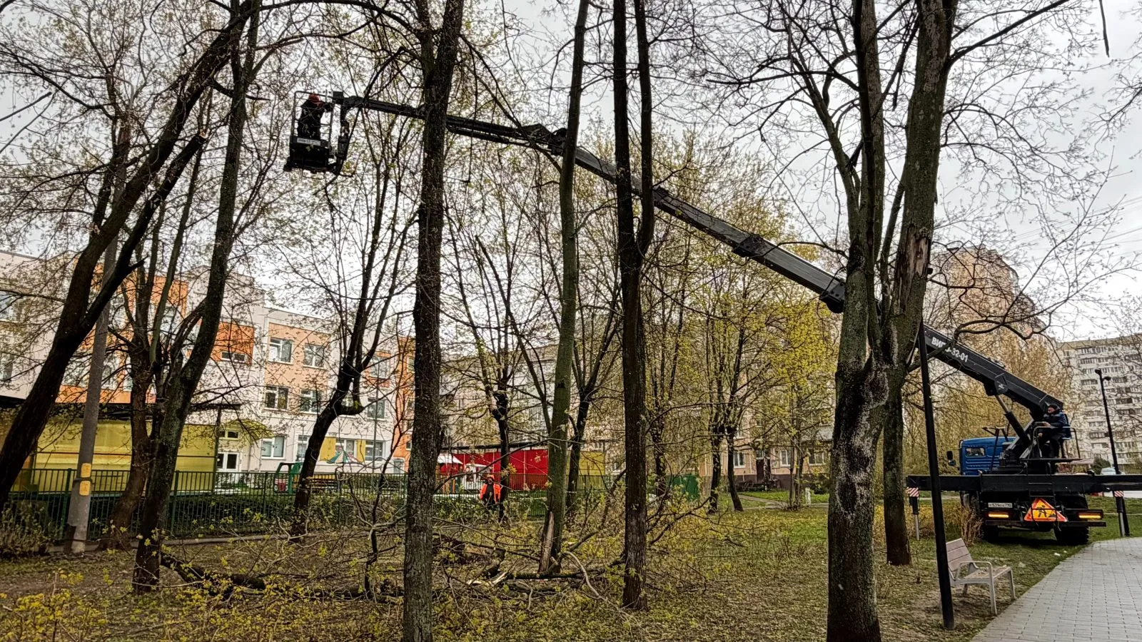 В городском округе Люберцы продолжают убирать поваленные непогодой деревья