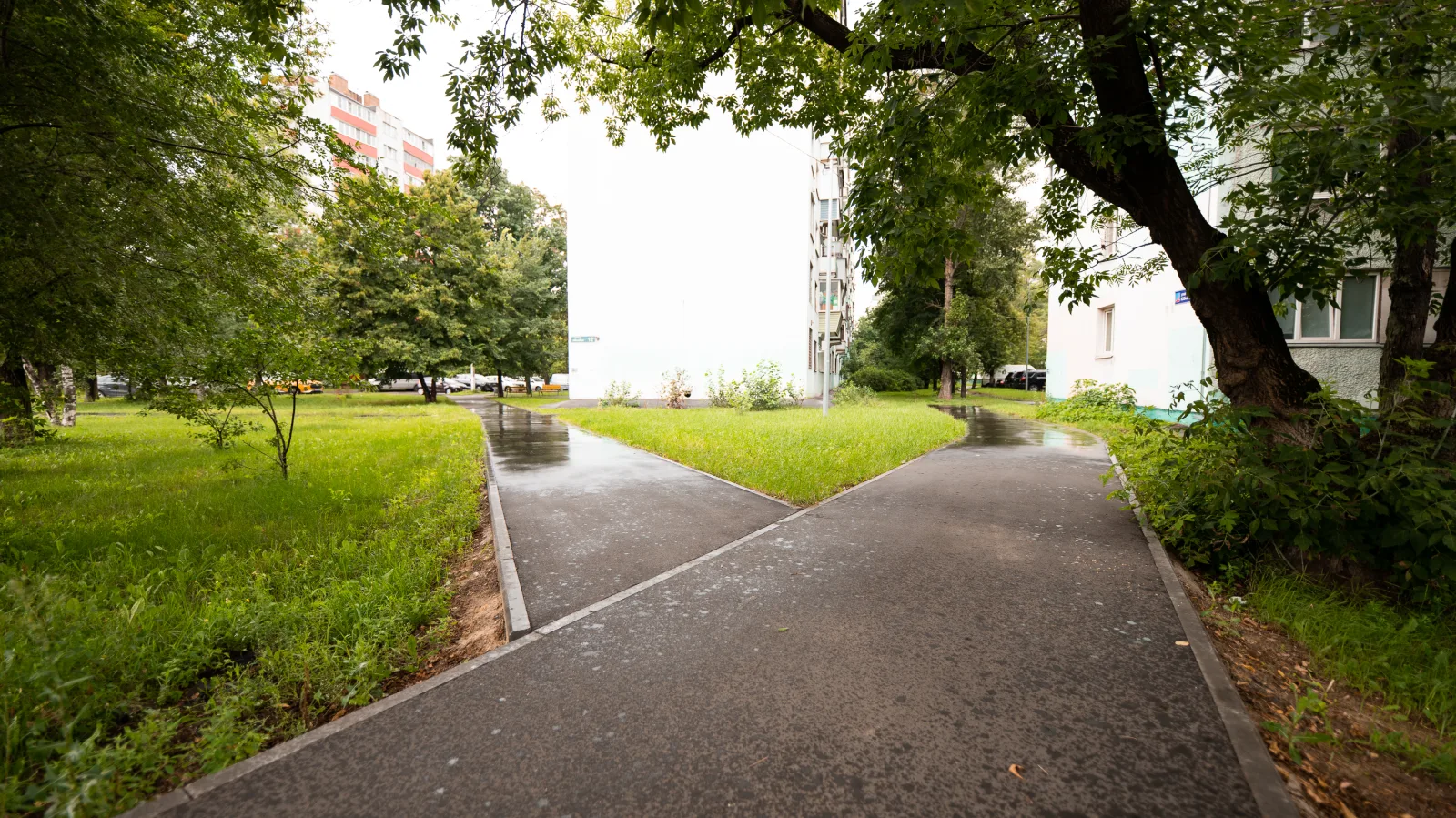 Пять «народных троп» дополнительно обустроят в Люберцах