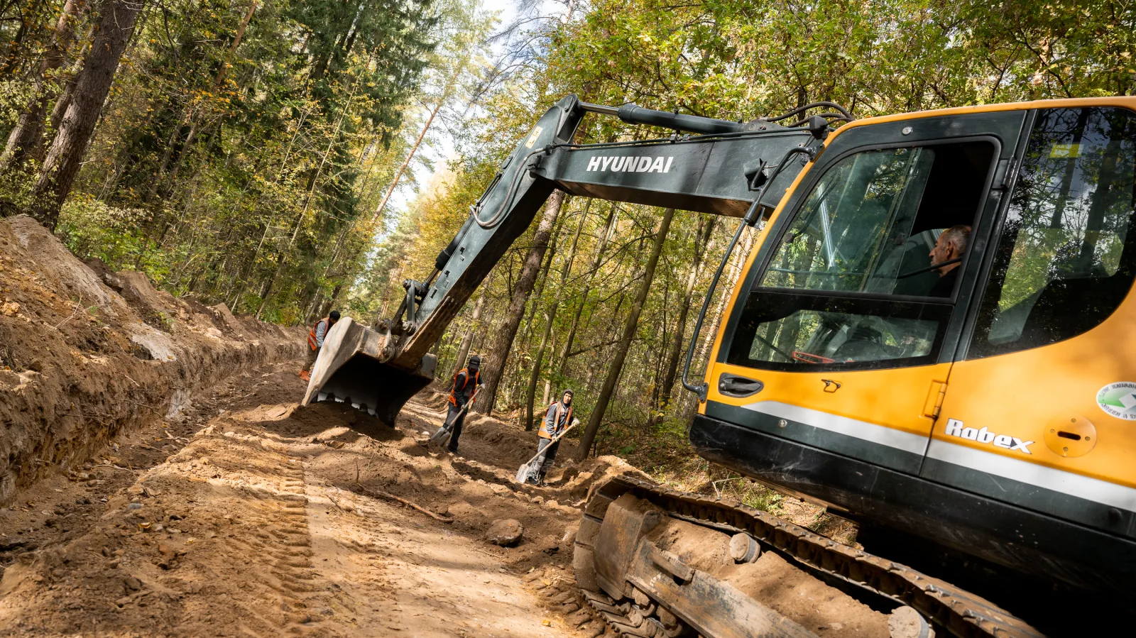 Два лесопарка обустраиваются в Люберцах в текущем году