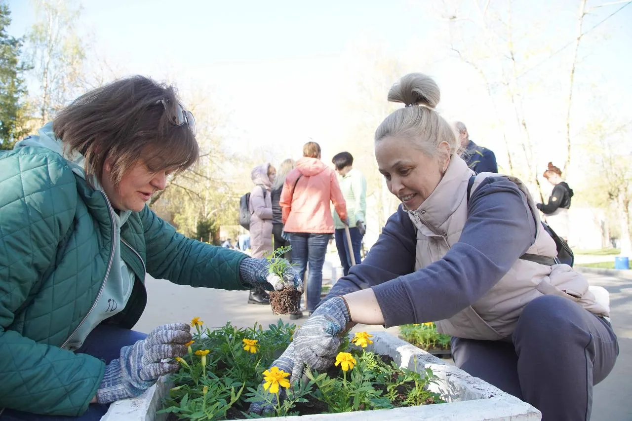 В Люберцах в текущем году высадят почти 278 тысяч цветов