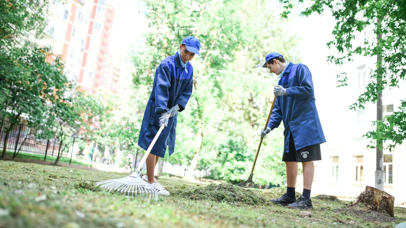 Почти полторы тысячи подростков планируется принять на работу в Люберецкие трудовые отряды в 2026 году