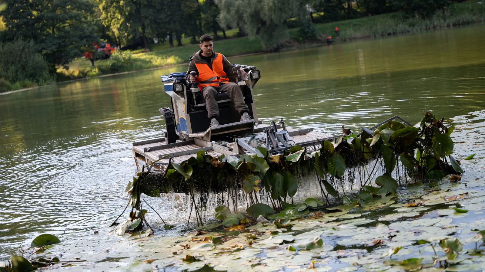 Расчистка Верхнего пруда стартовала в Дзержинском городского округа Люберцы