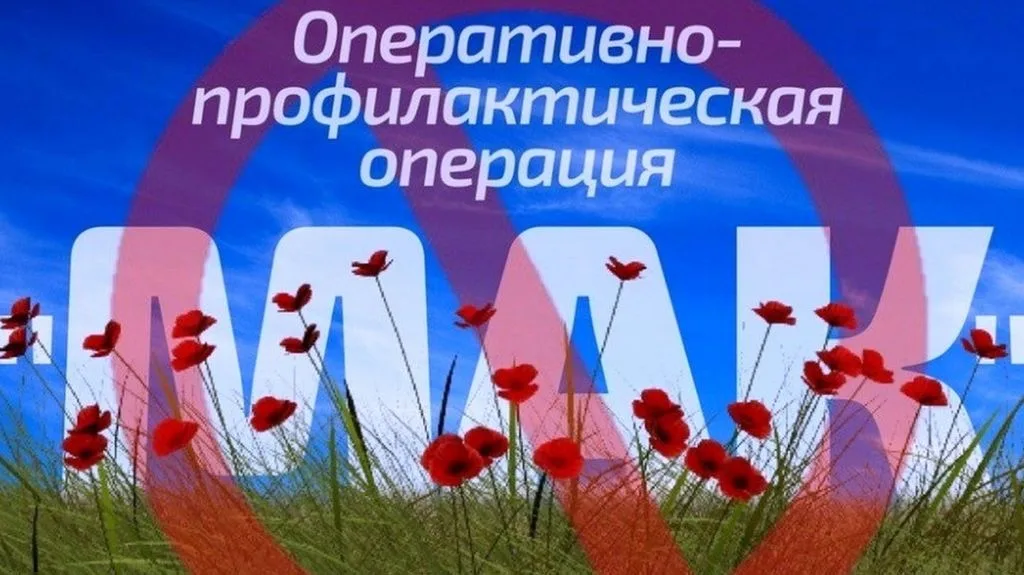 Жителей Люберец призвали сообщать в полицию информацию о незаконном обороте наркотиков