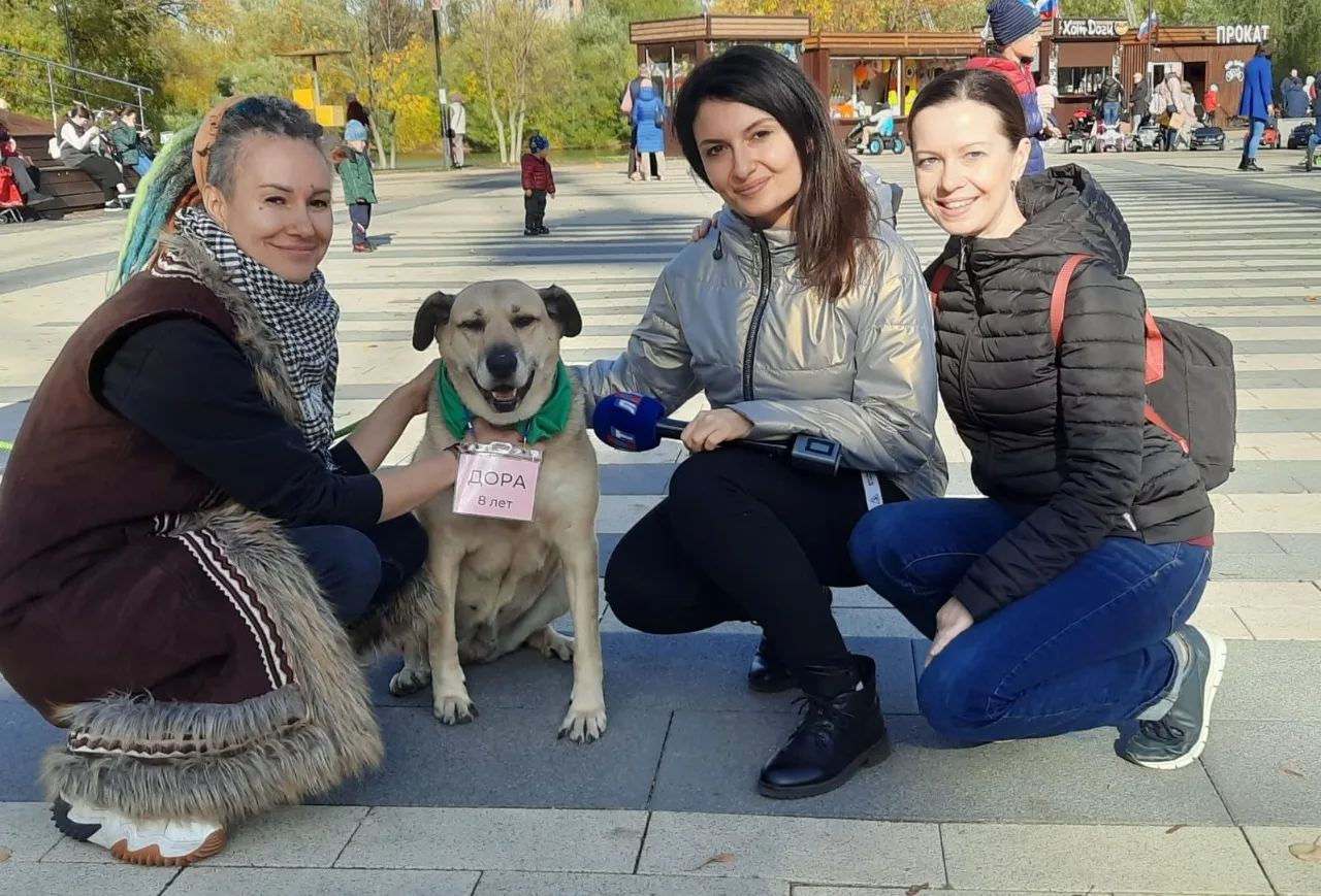Около 30 кг кормов  собрали бездомным животным волонтеры во время акции в парке Люберец