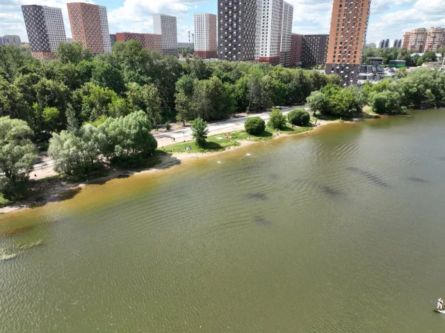 Специалисты устанавливают причины обмеления прудов в парке Люберец