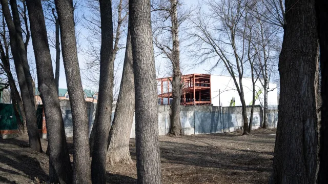 Владельцу незаконной стройки возле парка «Малаховское озеро» грозит крупный штраф