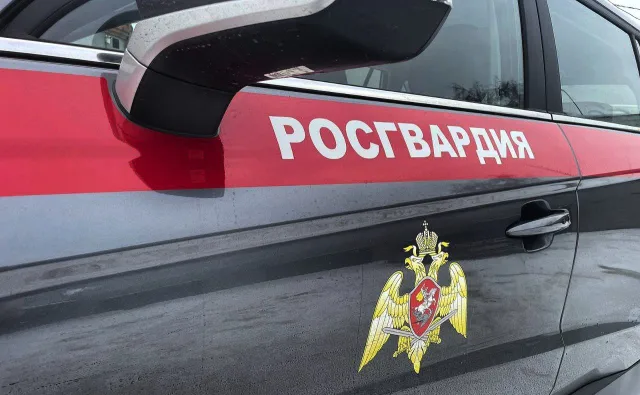 Росгвардейцы Люберец задержали подозреваемого в краже из строительного гипермаркета