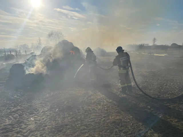 Жителям Люберец напомнили о том, что за поджог травы предусмотрено наказание