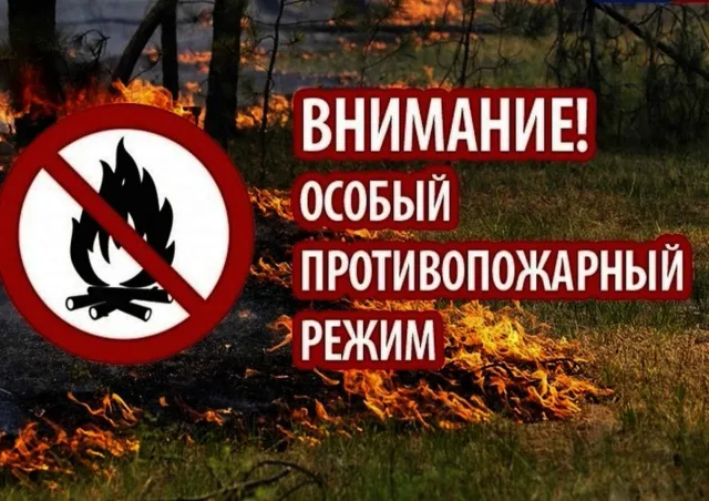 Жителям Люберец напомнили об ответственности  и наказании за сжигание травы