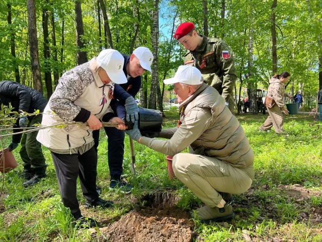 Более ста кустов сирени высадили в парке Люберец