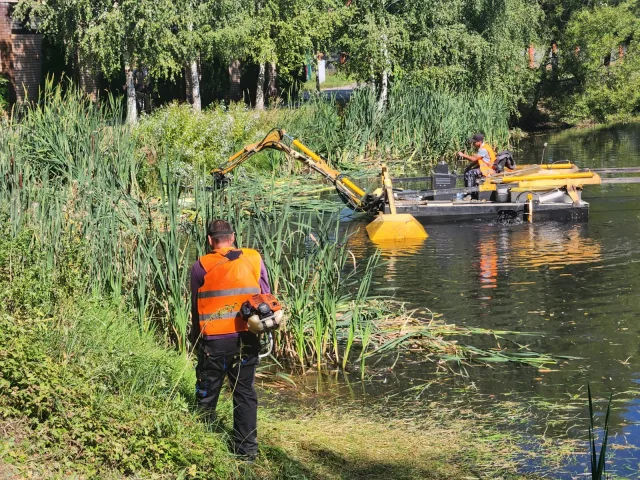 Завершены работы по санитарной расчистке пруда в посёлке Томилино Люберец