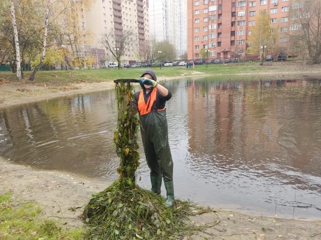 В Люберцах убрали более 16 кубометров мусора из Ухтомского пруда
