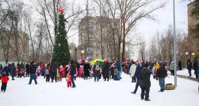 Во дворах Люберец установят более 60 елок