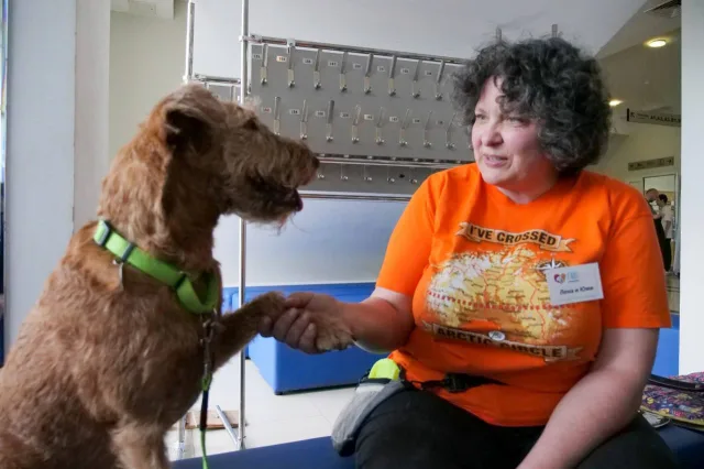 Владимир Волков поздравил волонтеров Люберец с Днем добровольца