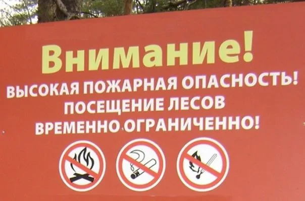 В лесах Люберец ограничили пребывание граждан и въезд в них транспортных средств