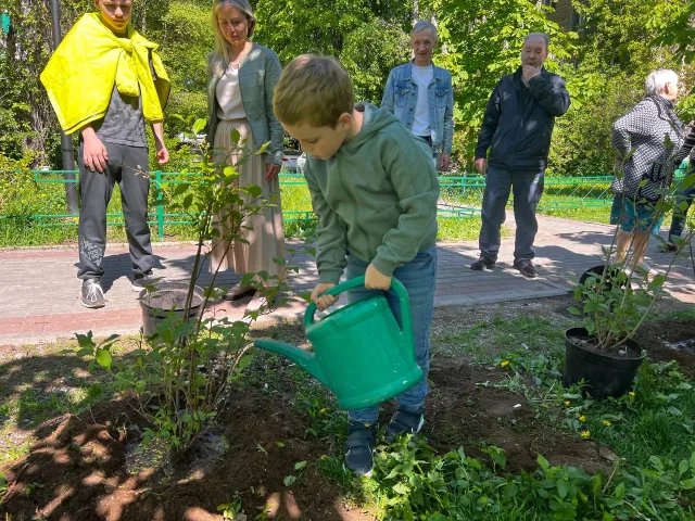 Жители Люберец высадили сирень на улице Мира