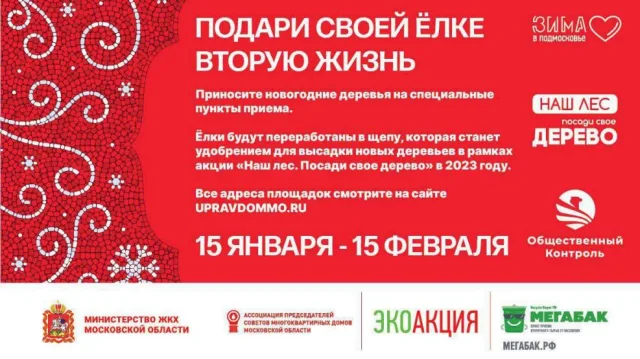 Десять специальных пунктов приема елей откроют в Люберцах с 15 января