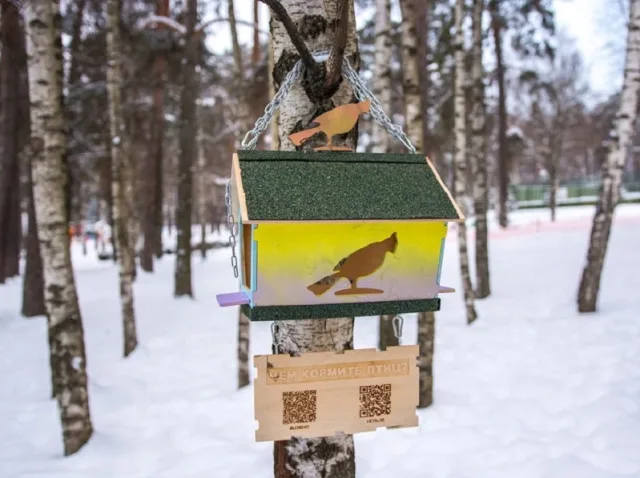 Жителей Люберец приглашают поучаствовать в интернет-конкурсе птичьих кормушек с 12 ноября