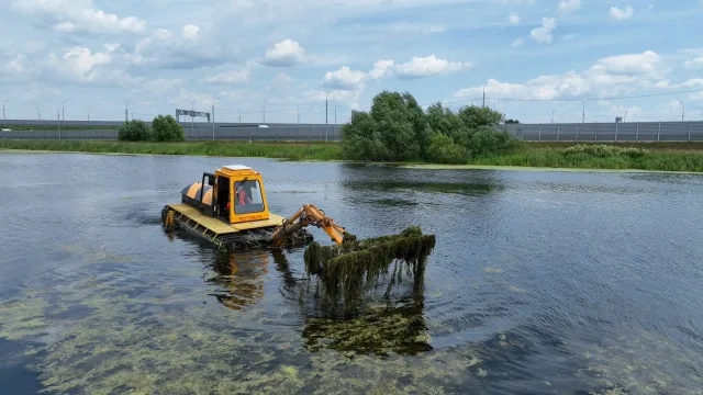 Расчистку трёх прудов выполнили в Люберцах с начала года