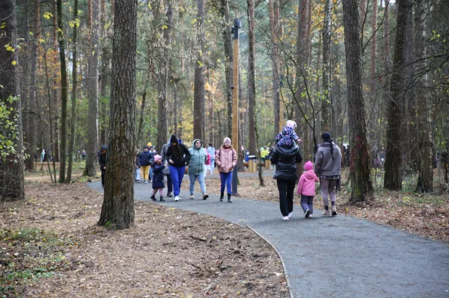 Благоустройство лесопарка даст жителям Люберец возможность добраться до водного карьера