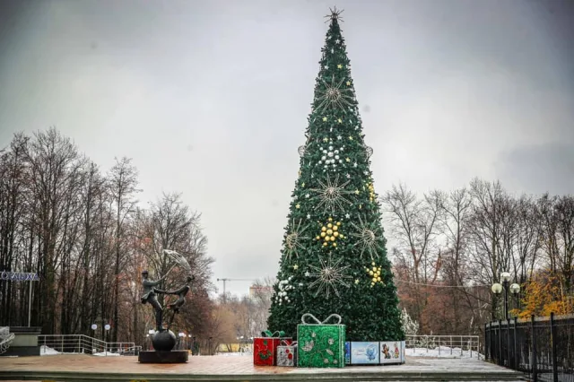 Более двадцати новогодних елей украсят общественные территории Люберец