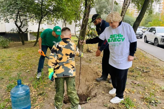 Депутат Мособлдумы Лидия Антонова вместе с жителями Люберец высадила деревья и кустарники