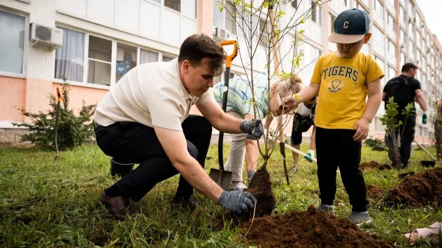 Более 200 кустов сирени и чубушника высадили в поселке Люберец