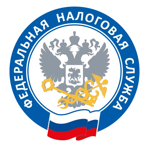 О порядке применения контрольно-кассовой техники в 2025 году