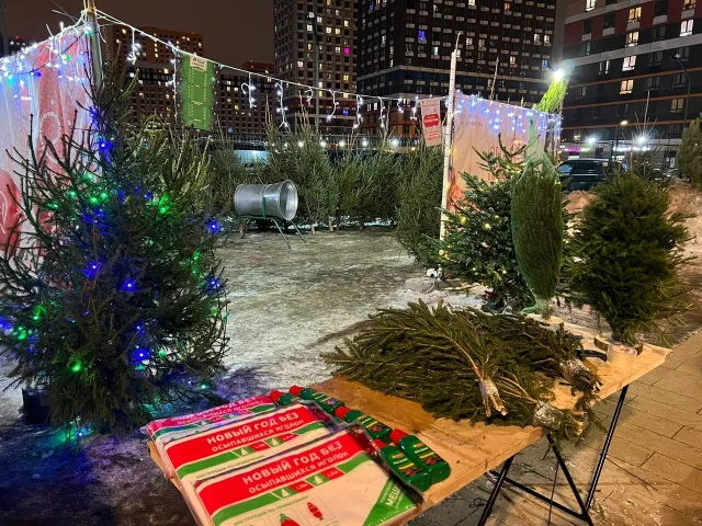 Елочные базары начнут работу в Люберцах с 20 декабря
