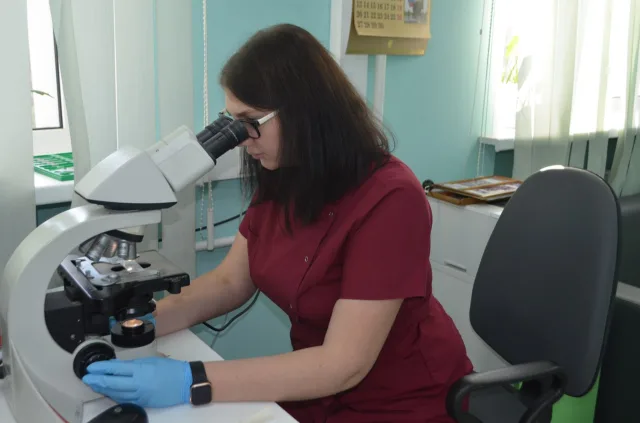 В 2,5 раза возросло число гистологических исследований в Люберцах благодаря новому оборудованию