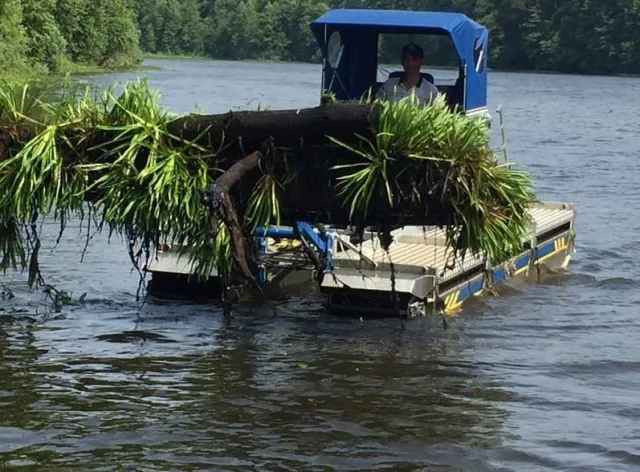 В процессе расчистки реки в Люберцах извлечено более 100 тысяч кубометров иловых отложений