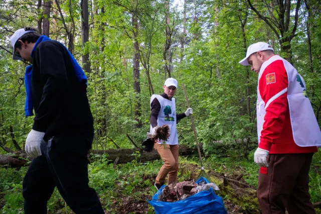 Экоакция «Чистый лес» прошла в Островцах городского округа Люберцы
