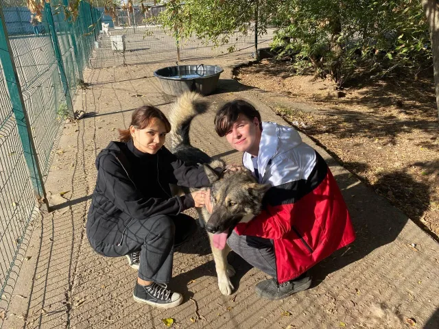 Студенты техникума Люберец передали корм в приют для животных